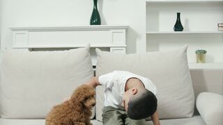 "L'Harmonie à Quatre Pattes : Chiens et Amitié Sincère"