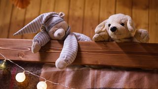 Compagnons de Jeu : Chiens et Amitié en Action"