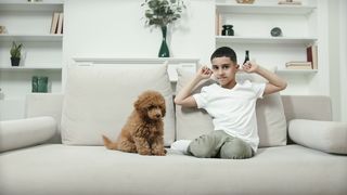 "À la Queue-leu-leu de l'Amitié : Les Chiens qui S'Adorent"