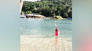 Funny Videos 29