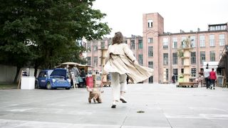 Les Chiens : Nos Compagnons Fidèles"