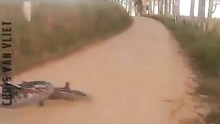Animals Gone Crazy