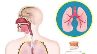 Best ways to keep your lungs healhty