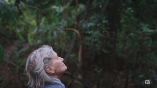 This Scientist Tracked Bats for Decades and Solved a Mystery About a Deadly Disease