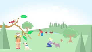 Companion Animal Vector-Borne Diseases