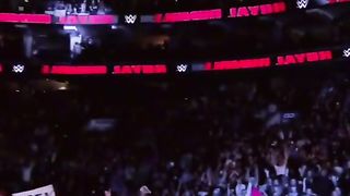 WWE реслинг 213