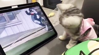 Cat watching on tv cartoon movie