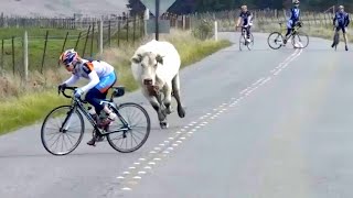 Compilation of the Funniest Moments of the Year ???????????? #5