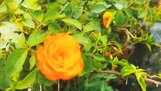 Awesome video 6