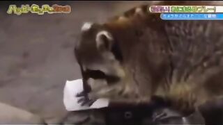 Oylik????????????????