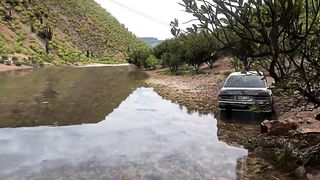 Rebuilding BMW M3 E30 - Forza Horizon 5 (Steering Wheel + Shifter) Gameplay bdr gamerz