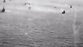 British Aircraft Swarm Attacks German Shipping in WWII | RCF
