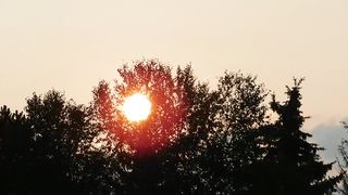 "L'harmonie de la nature : Une exploration visuelle"