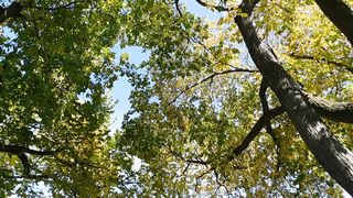 "Les merveilles de notre planète : Un voyage au cœur de la nature"