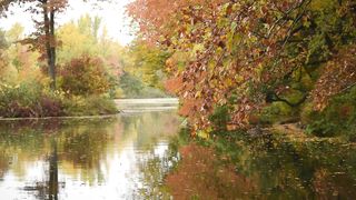 "Refuge dans la nature : Une évasion en pleine verdure"