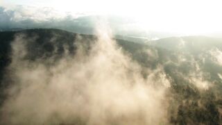 "Mystères de la nature : Révélations en images"