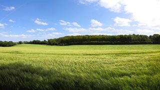 "Exploration Naturelle : À la Découverte des Trésors de la Terre"