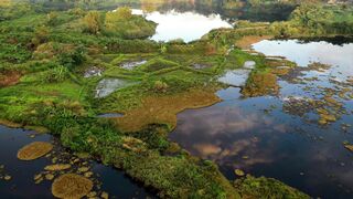 "Le Pouvoir de la Nature : Une Aventure Épique"