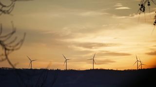 "Renaissance de la Terre : À la Rencontre de la Nature Sauvage"