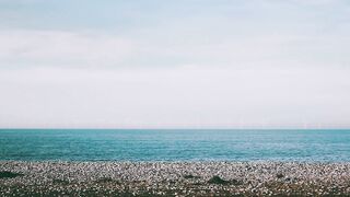 "Les Secrets de la Nature : Un Monde en Équilibre"