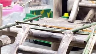 大熊猫,灵岩开车下班