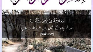 Quran , Al Quran Surah 76 Ayat 30 #viral #shorts #quran #youtubeshorts