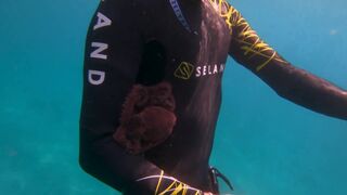 Octopus sticks to diver