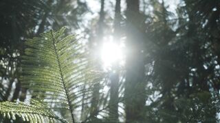 "Wild and Free: Exploring the Beauty of Nature"