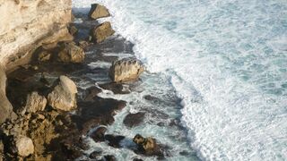 "Nature's Abundance: A Visual Exploration"