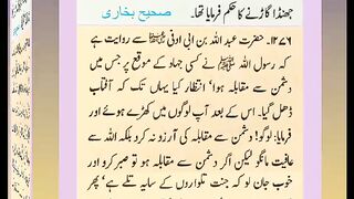 اسلامی معلومات 238