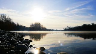 "Nature's Tranquil Beauty: A Visual Journey"