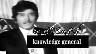 Video dialogue