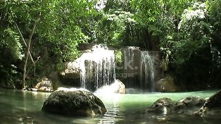 amazing naure