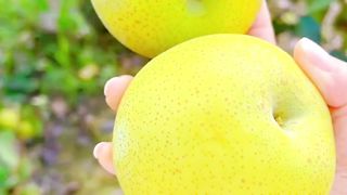 FRESH FRUIT