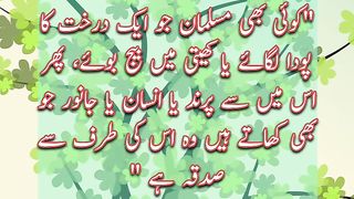 Sadqa | Sadqa Kiya Hai |Urdu Hadees