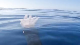 Thalassophobia going insane right now.