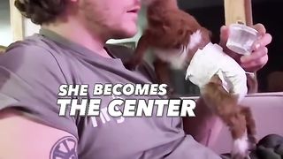 THE CUTEST BABY GOAT EVER!❤️????
