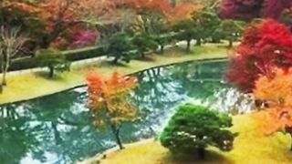 Nature_scenery_????.