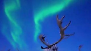 OMG! Under the Northern lights????