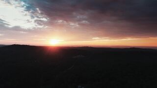 "Solar Harmony: Nature and Sun in Symbiosis"