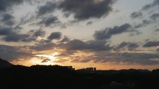 "Beneath the Natural Sun: A Day in Beauty"