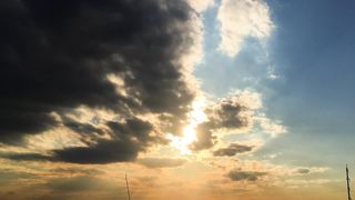 "Golden Light: Nature and Sunlight Meeting"