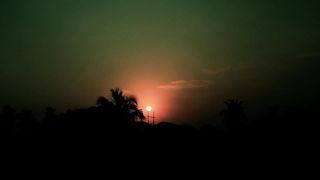 "Sun-Kissed Serenity: Exploring the Beauty of Nature"