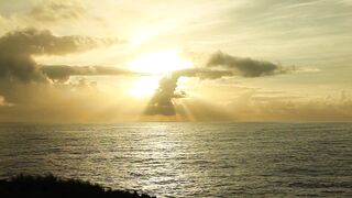 "Nature's Solar Showcase: A Day Under the Sun"
