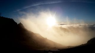 "Sunlit Wonders: A Nature Odyssey"