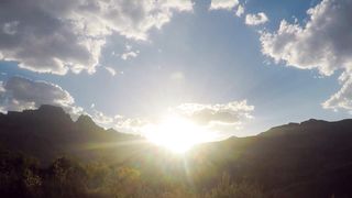 "Chasing Sunshine: A Day in the Wild"