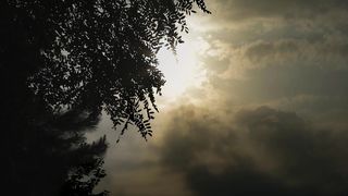 "Basking in Nature's Glow: Sunlit Adventures"