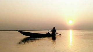 "Solar Serenity: Embracing the Beauty of the Wild"