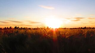 "Sunrise to Sunset: A Journey Through Nature"