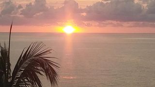 "The Sun's Embrace: Discovering Natural Beauty"
